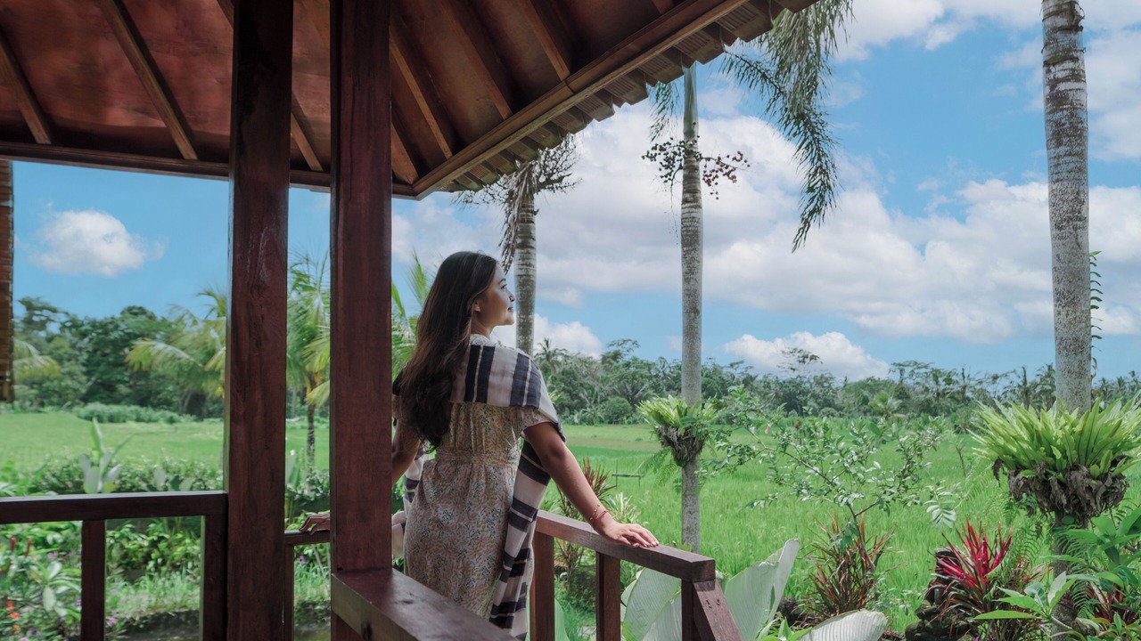 Photo of Outdoor in Taro