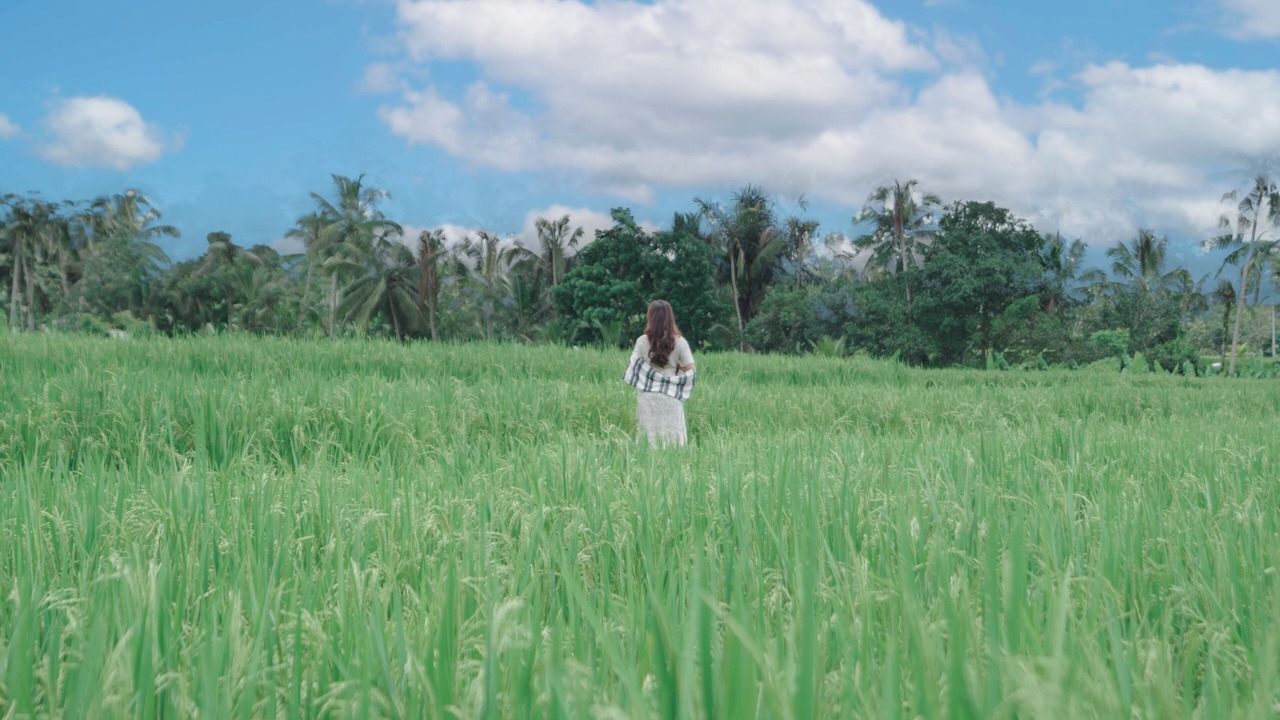 Photo of Outdoor in Taro