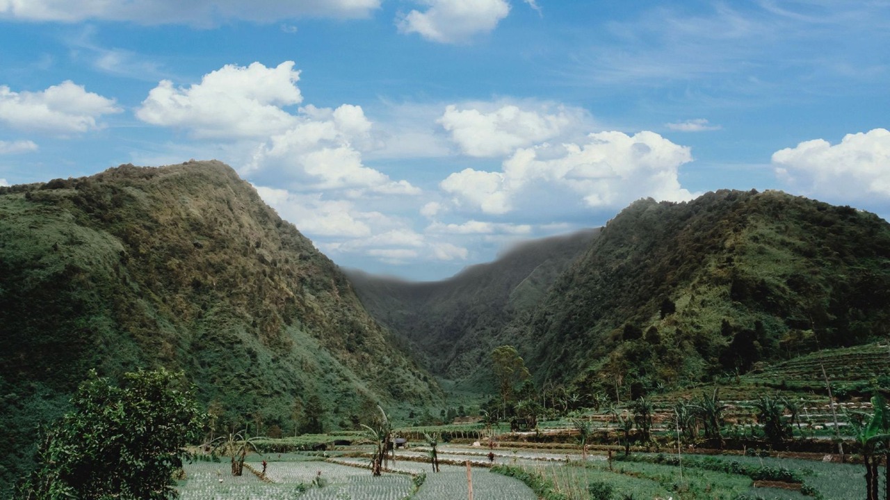 Photo of Outdoor in Kejajar