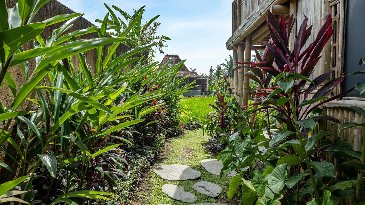 Photo of Outdoor in Kemenuh