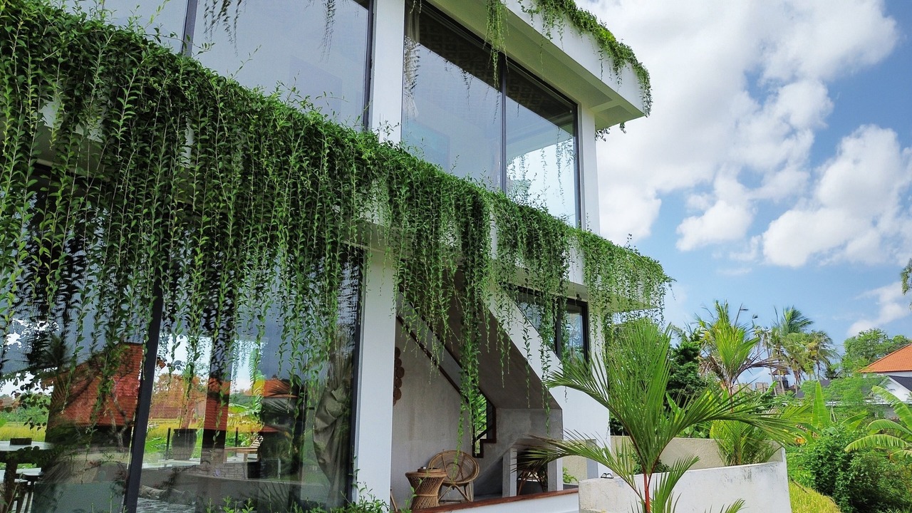 Photo of Outdoor in Kemenuh
