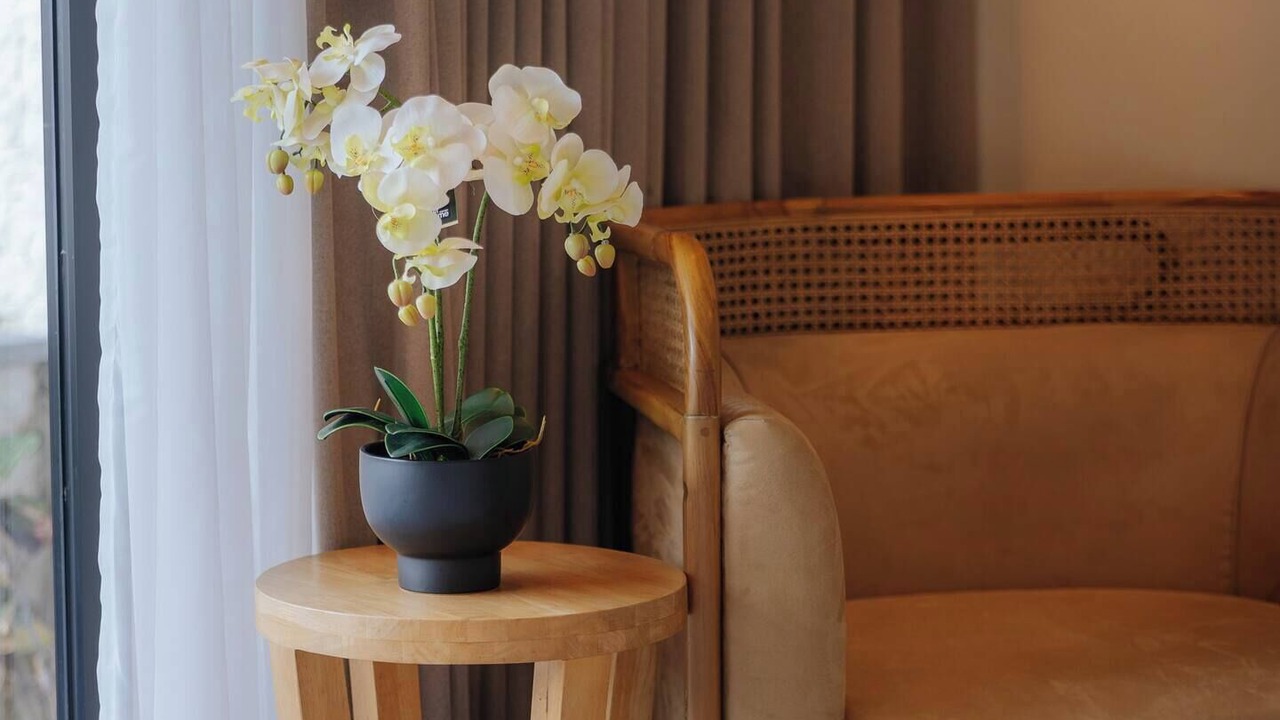 Photo of Bedroom in Bukit