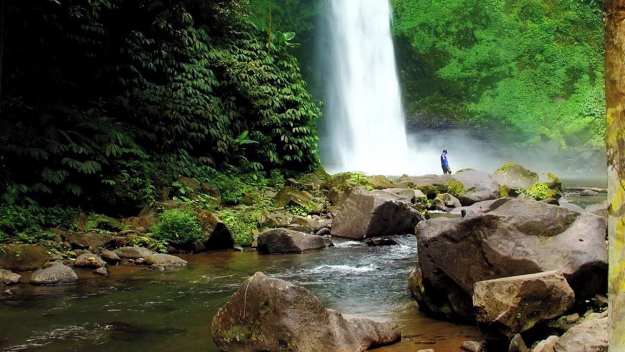 Photo of Others in Kedewatan