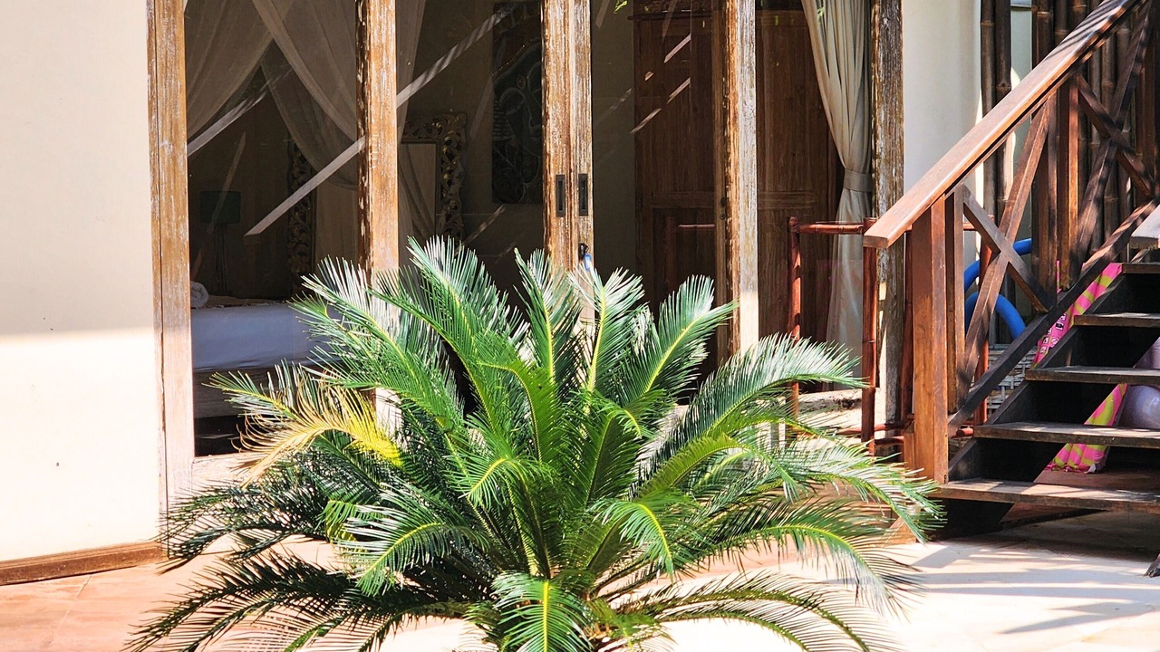 Photo of Outdoor in Ubud City-Centre