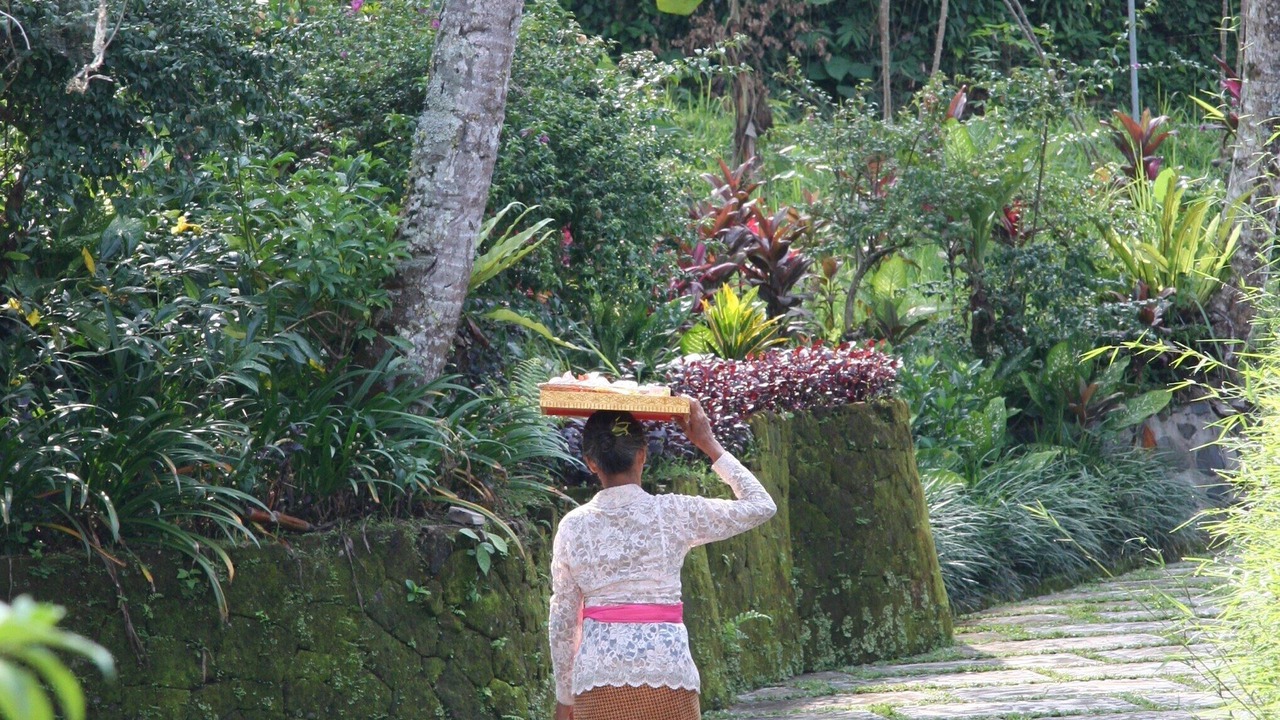 Photo of Outdoor in Melayang