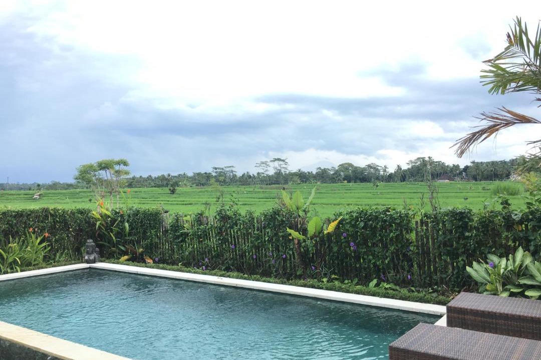 Photo of Outdoor in Kedewatan