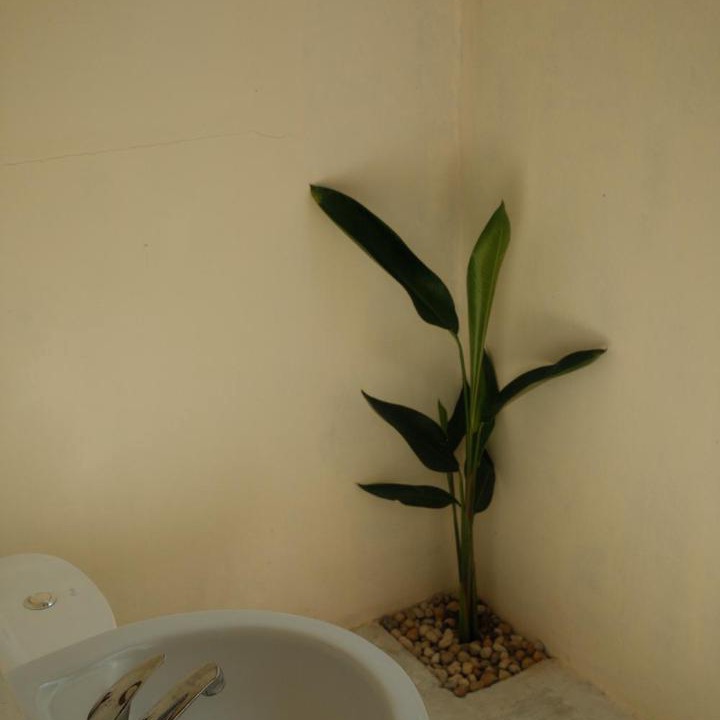 Photo of Bathroom in Batudaka Island