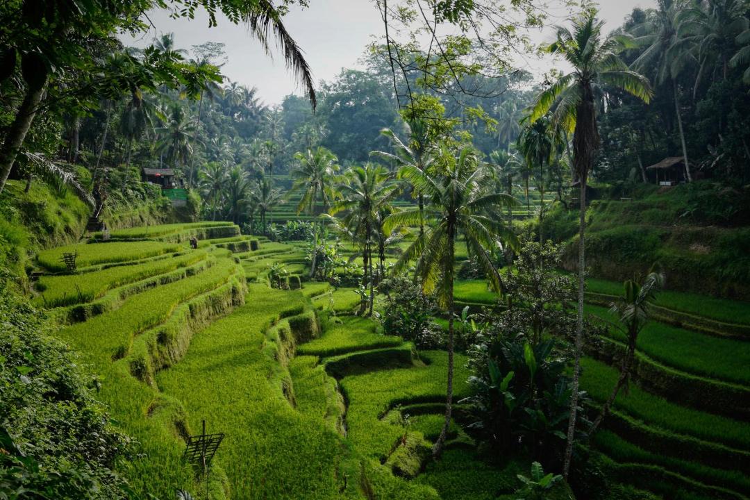 Photo of Others in Melayang