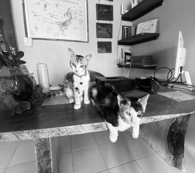 Photo of Others in Karimunjava