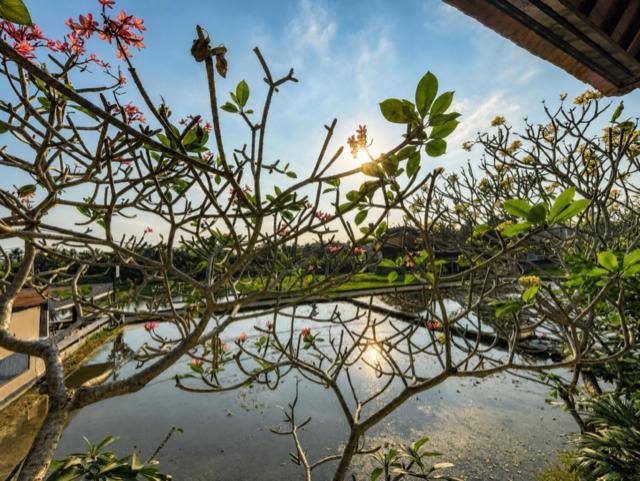 Photo of Others in Pengosekan