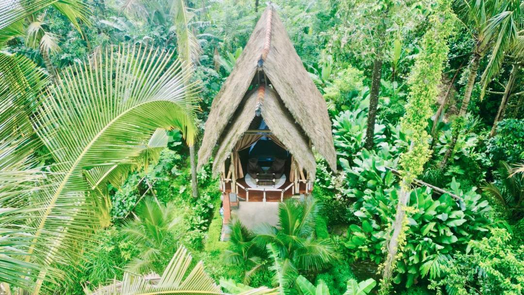 Photo of Others in Susut