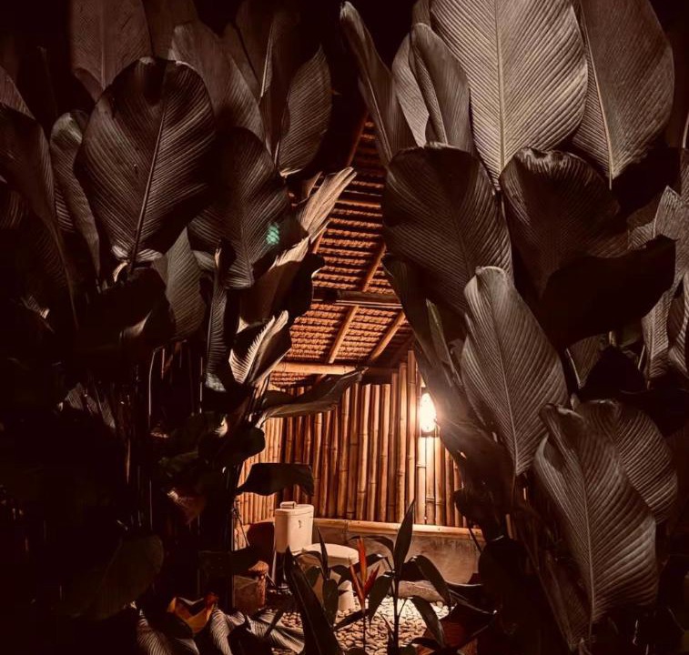 Photo of Others in Susut