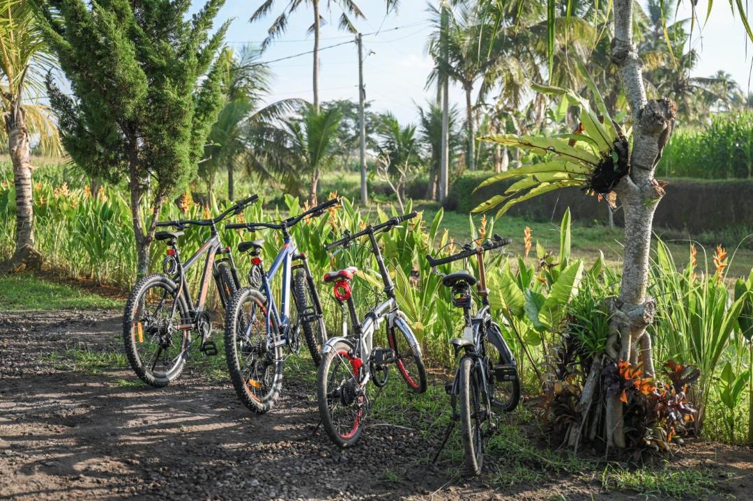 Photo of Others in Tabanan