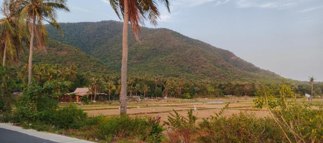 Photo of Others in Karimunjava