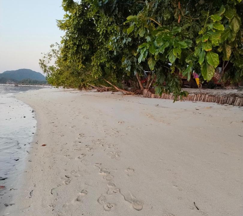 Photo of Others in Mansuar Island