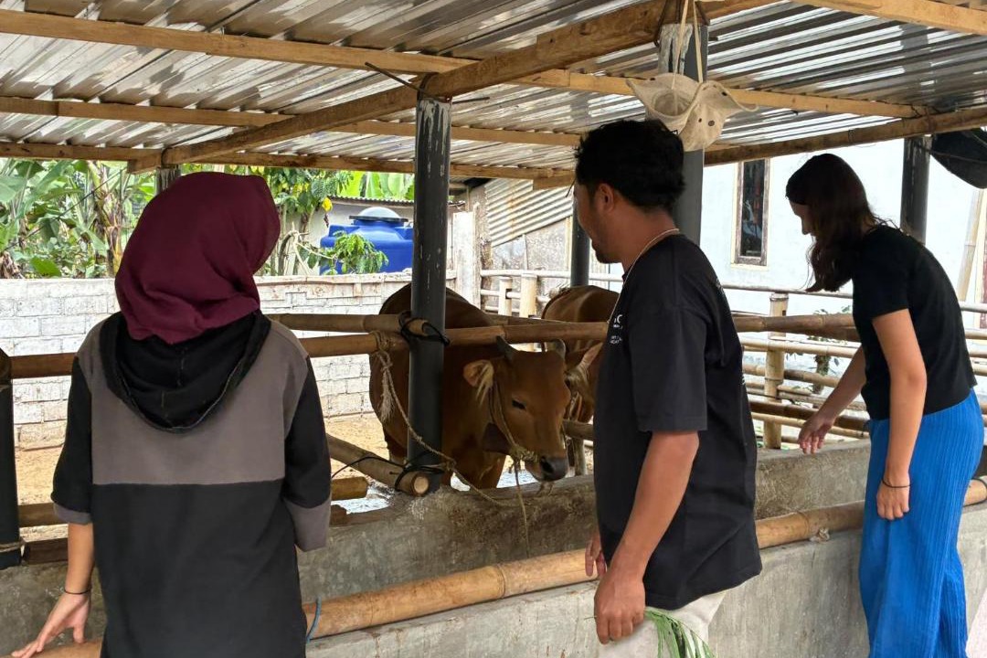 Photo of Others in Tetebatu