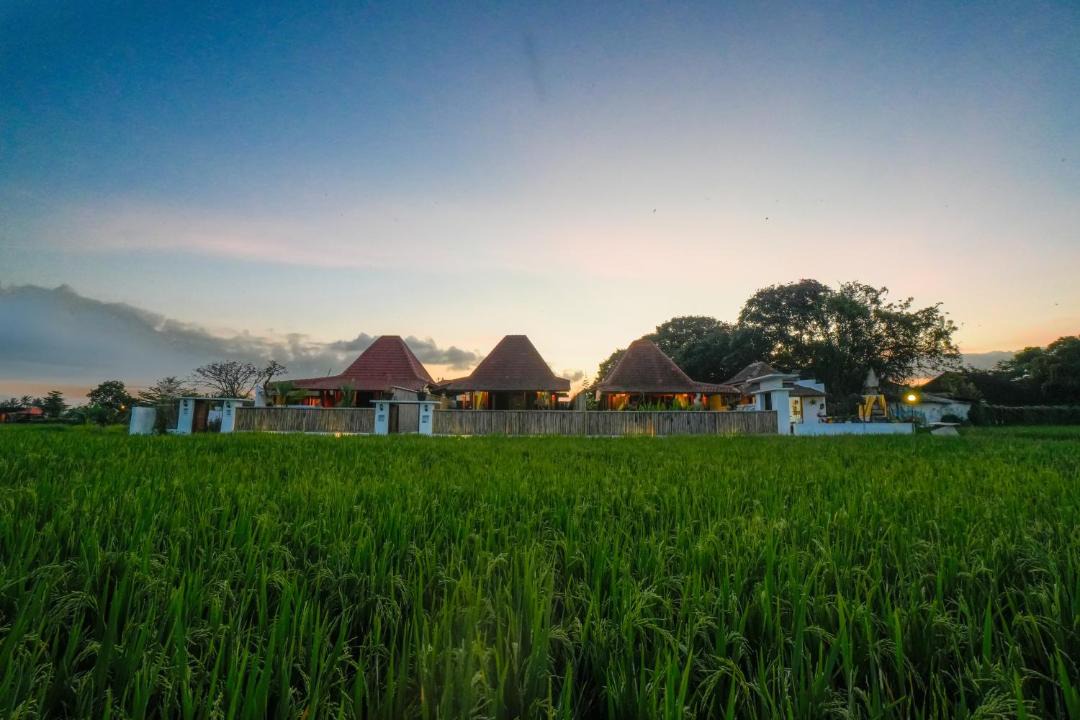 Photo of Others in Peliatan