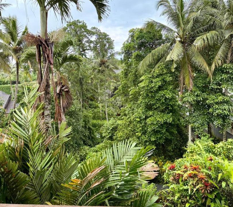 Photo of Others in Ubud