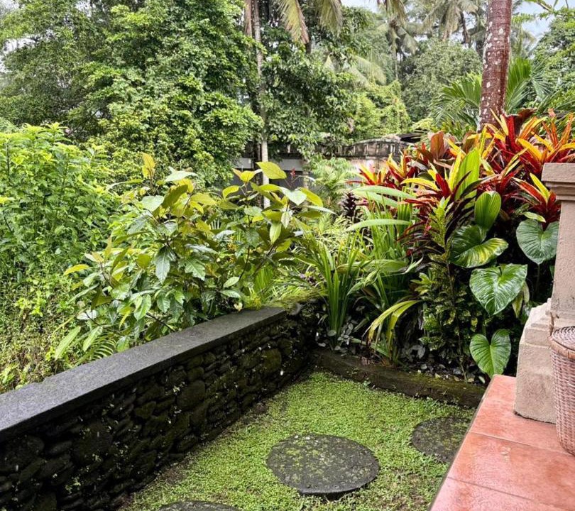 Photo of Others in Ubud