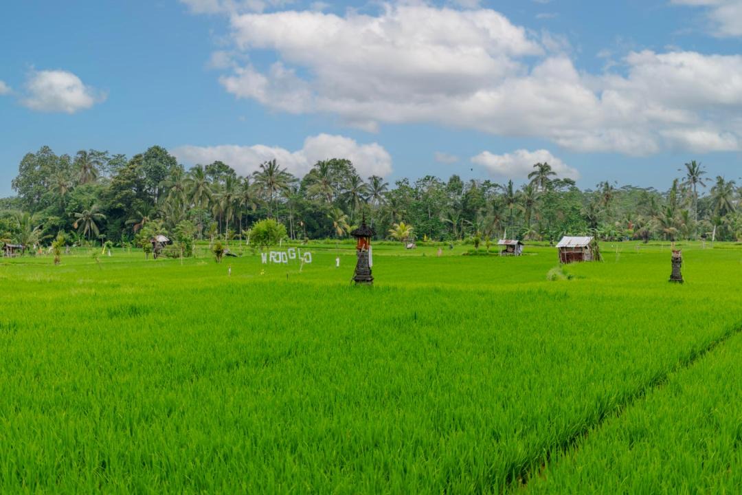 Photo of Others in Sebatu