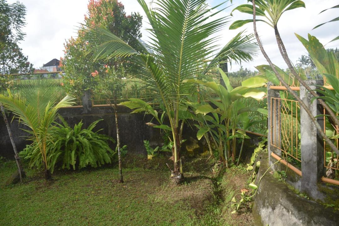 Photo of Others in Pejeng Kawan