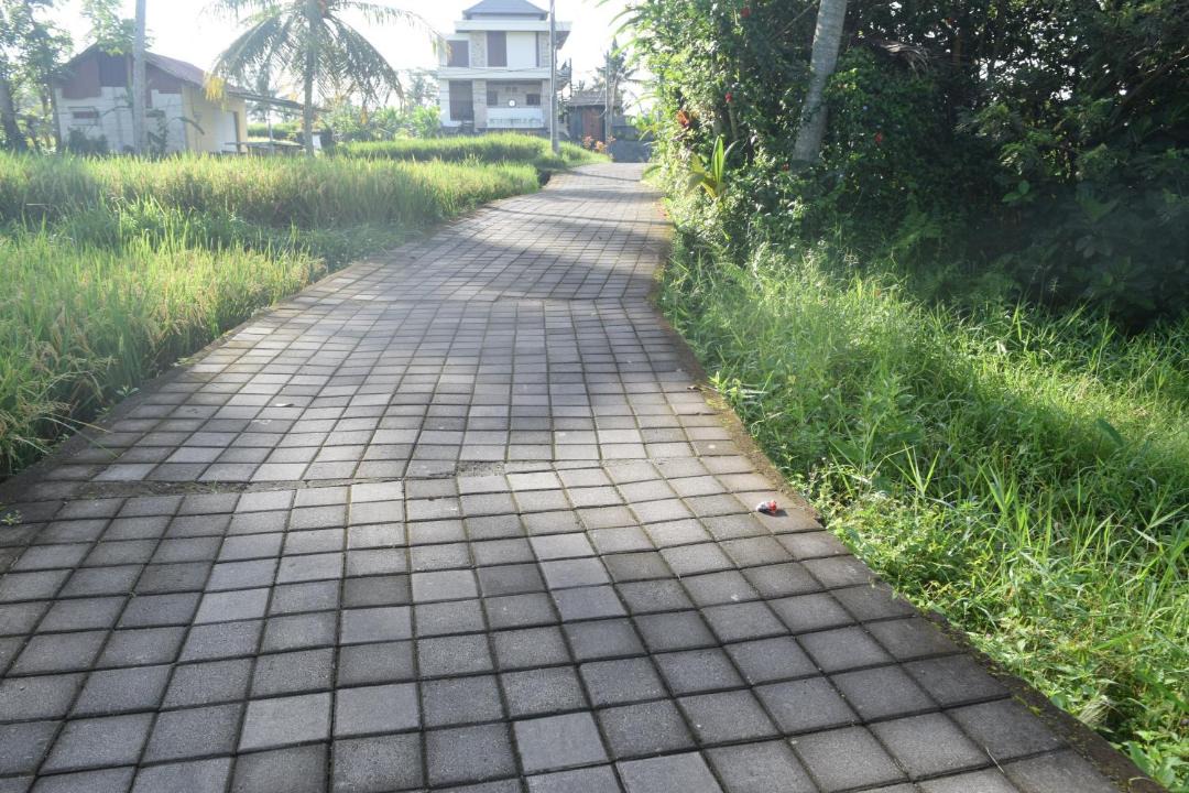 Photo of Outdoor in Pejeng Kawan