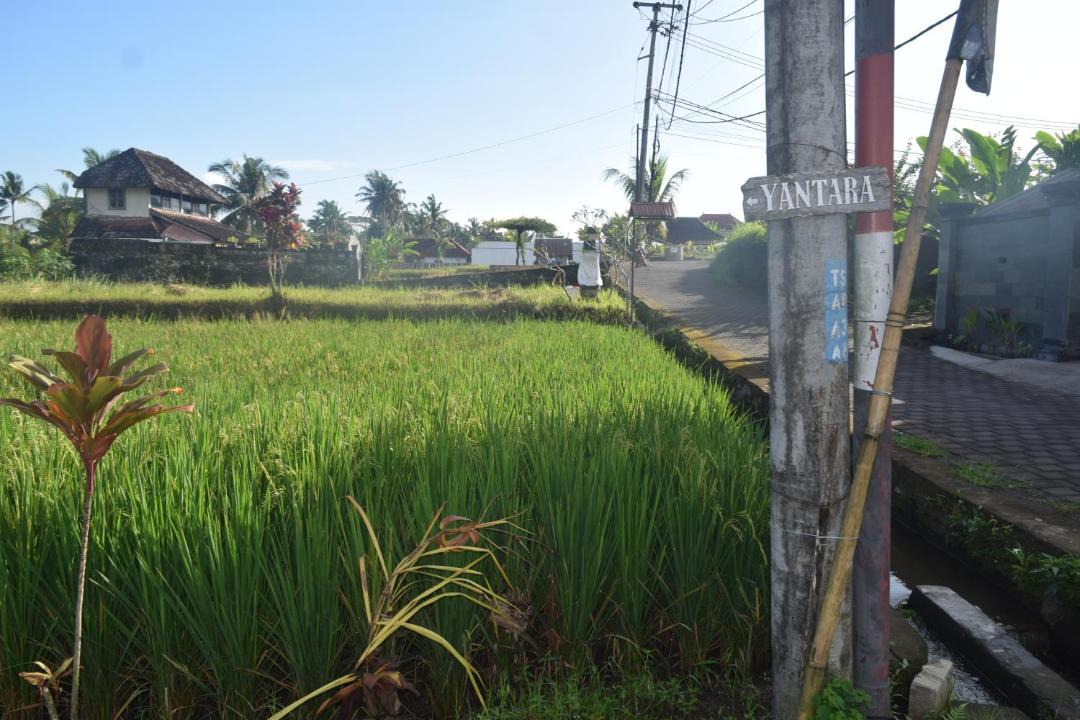 Photo of Others in Pejeng Kawan