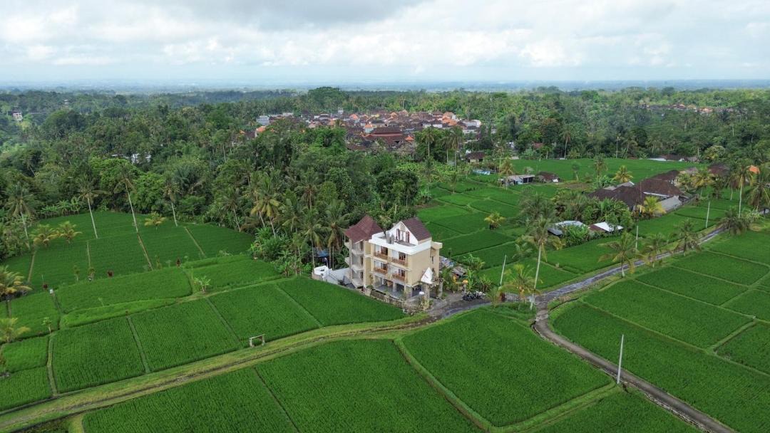 Photo of Others in Taro