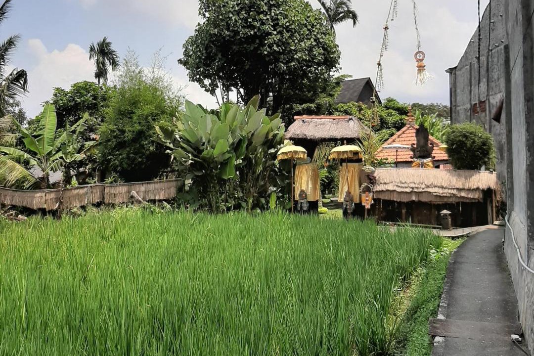 Photo of Others in Peliatan