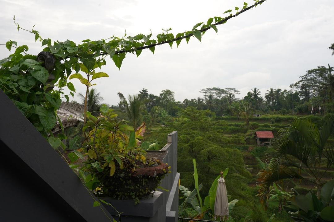 Photo of Others in Melayang