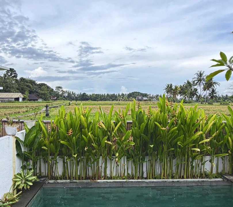 Photo of Others in Peliatan