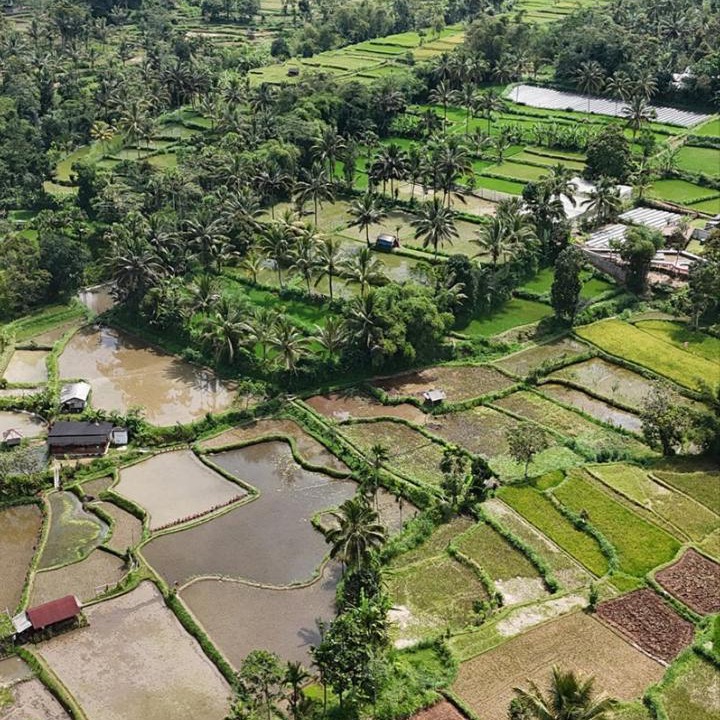 Photo of Others in Tetebatu
