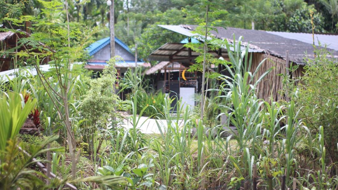 Photo of Others in Sinabang