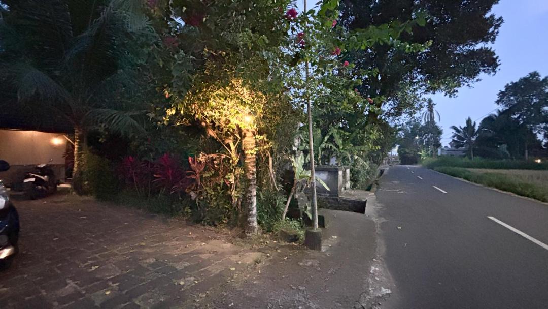 Photo of Others in Bongkasa Pertiwi