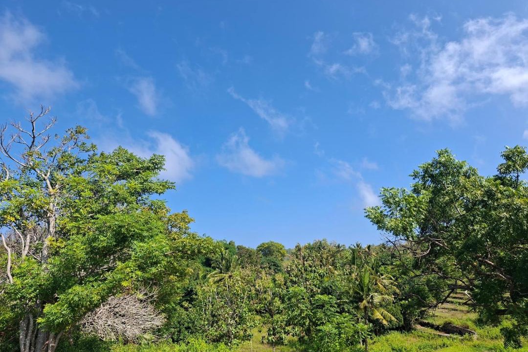 Photo of Others in Penida Island