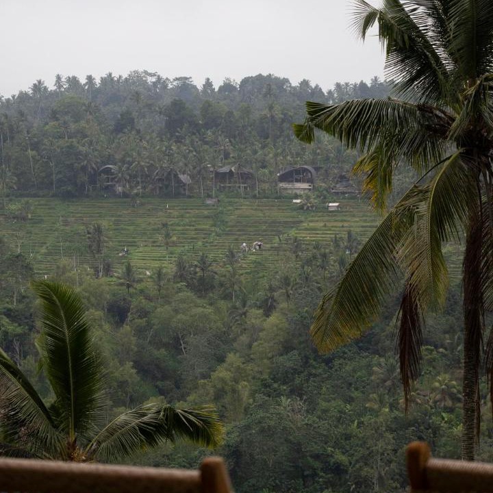 Photo of Others in Melayang