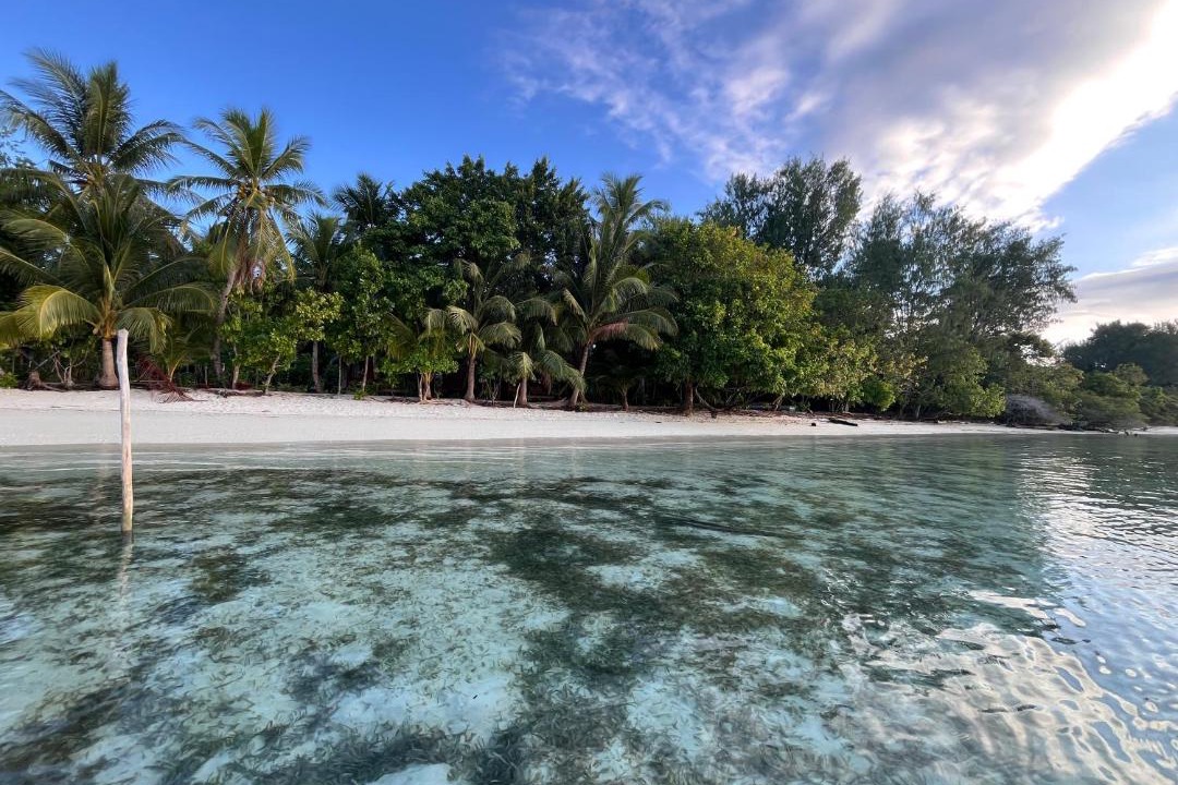 Photo of Others in Raja Ampat