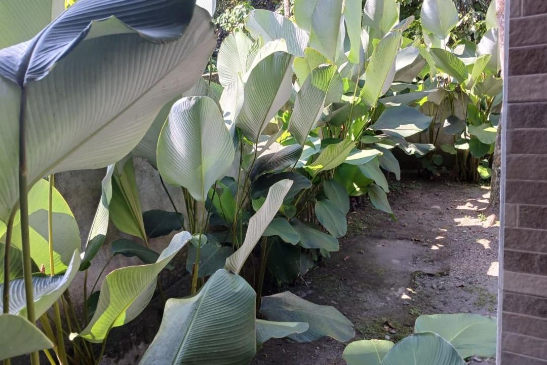Photo of Outdoor in Kecamatan Pringgasela
