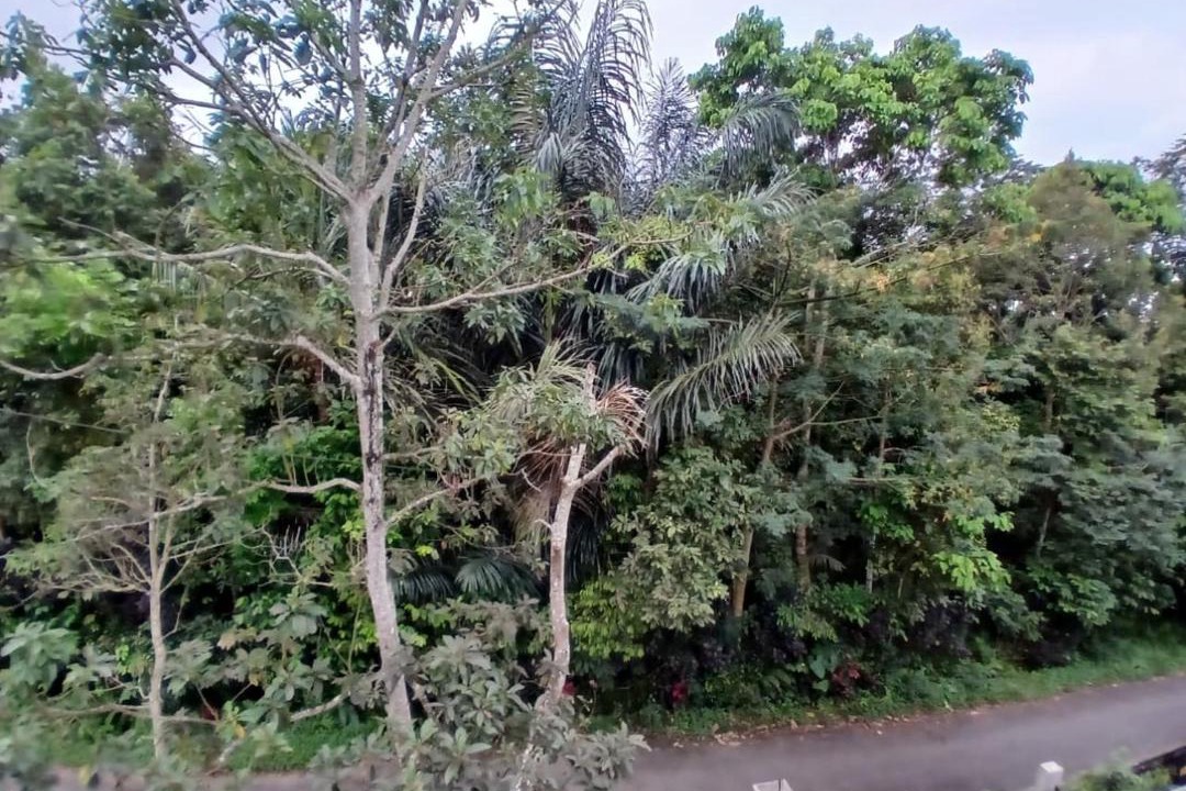 Photo of Others in Kecamatan Pringgasela