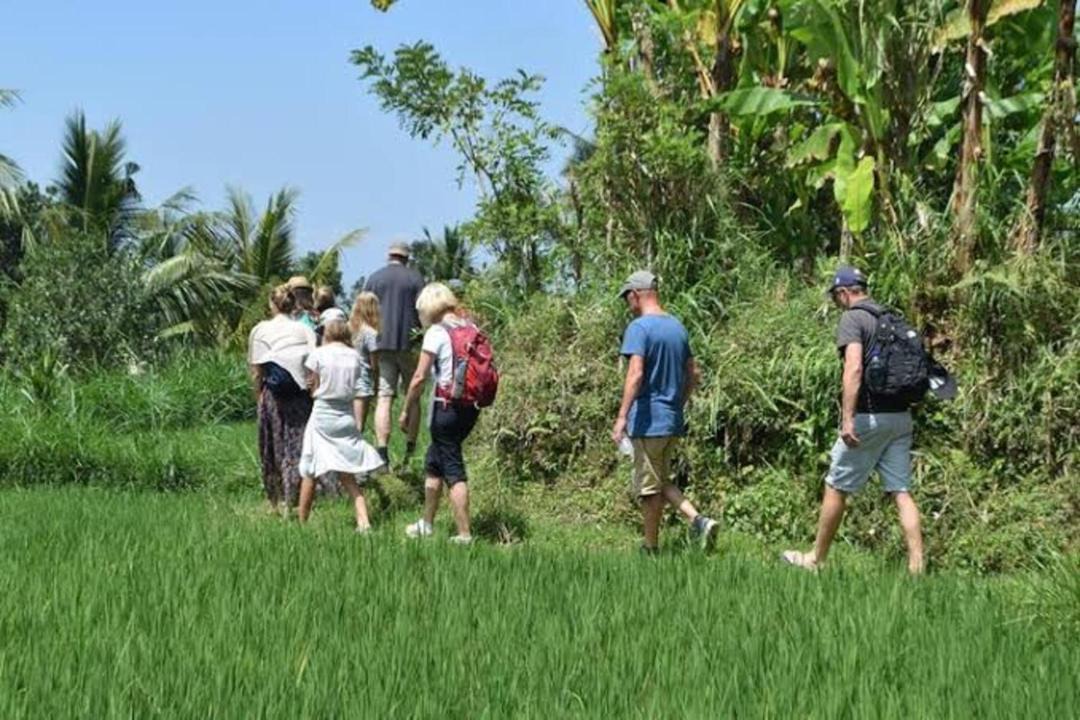 Photo of Others in Kecamatan Pringgasela