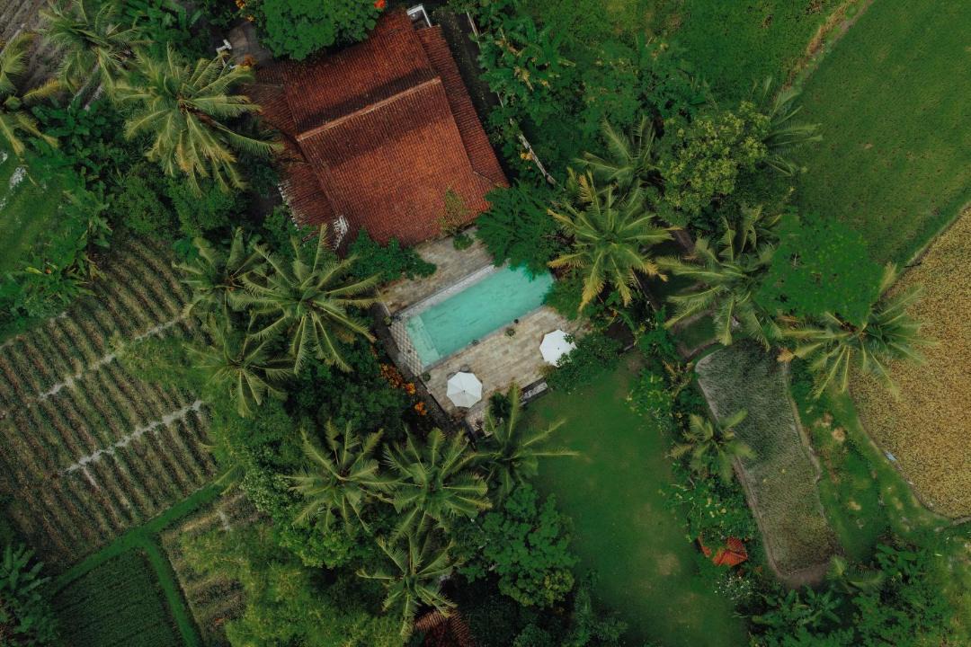 Photo of Others in Mendut