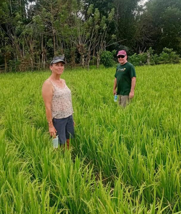 Photo of Others in West Manggarai