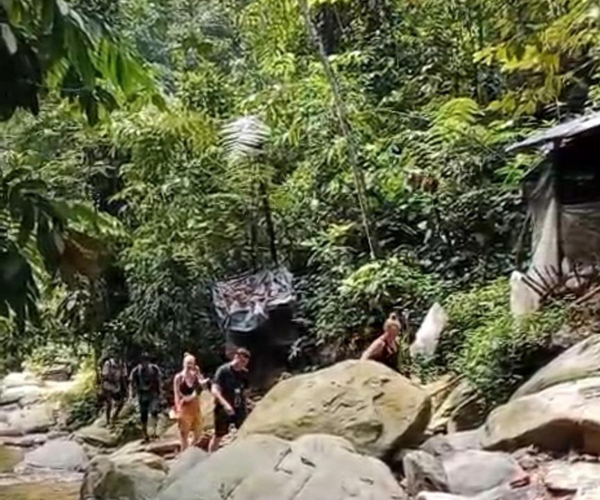 Photo of Others in Bukit Lawang