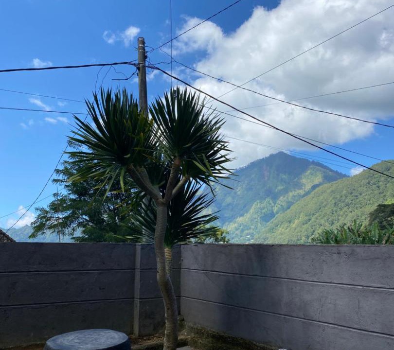 Photo of Others in Kintamani