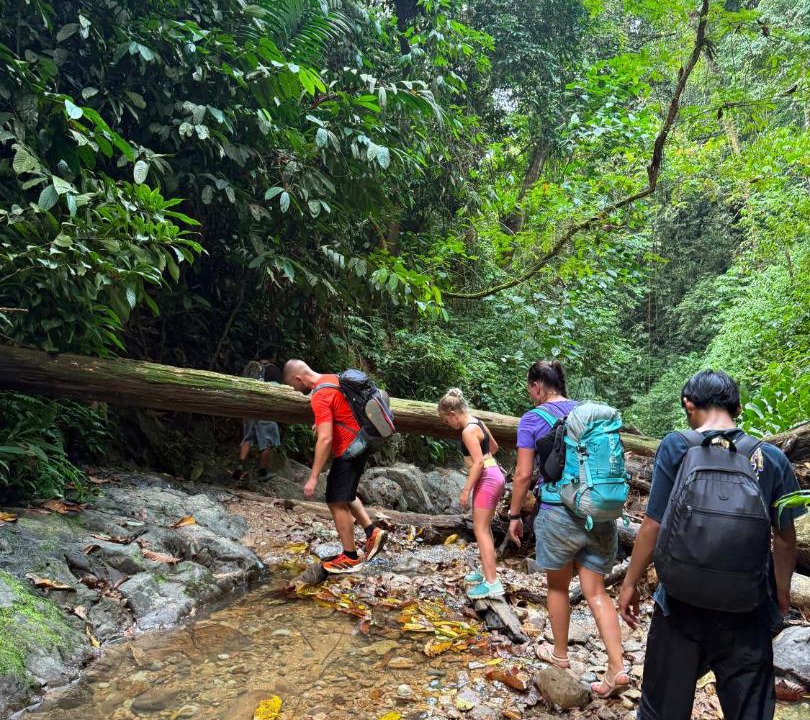 Photo of Others in Bukit Lawang