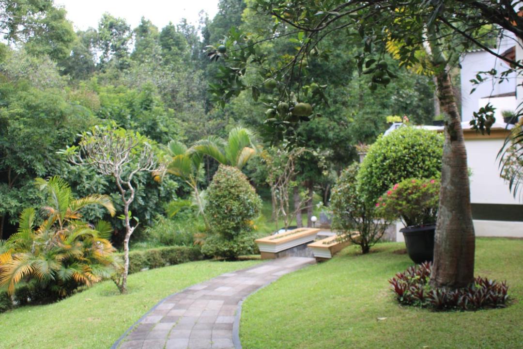 Photo of Others in Parongpong