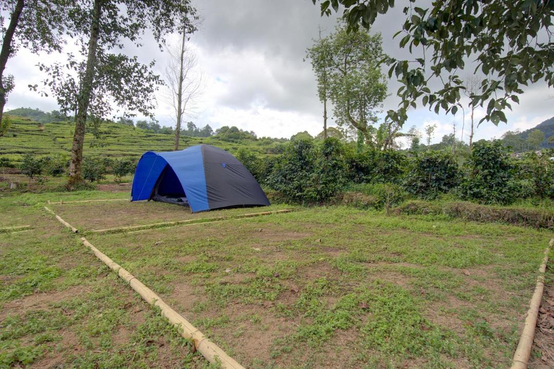 Photo of Outdoor in Rancabali