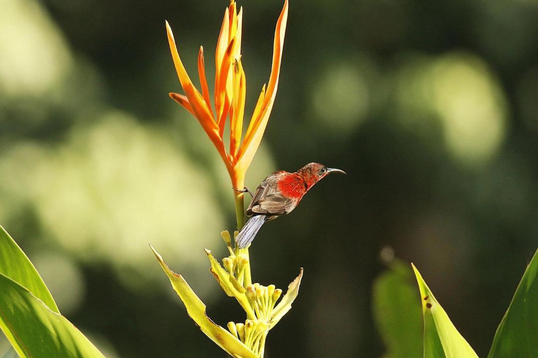 Photo of Others in Bitung