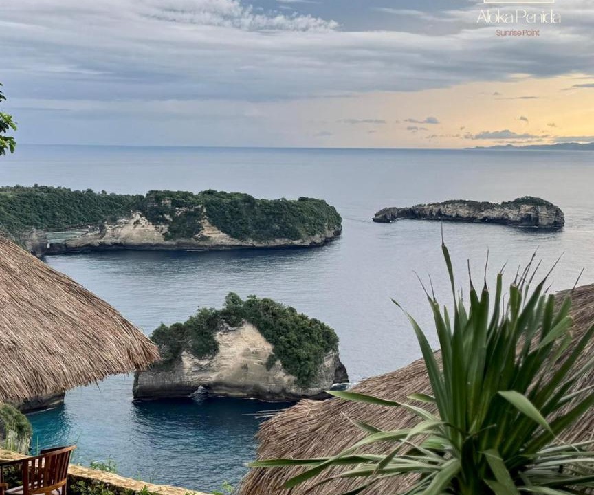Photo of Others in Penida Island