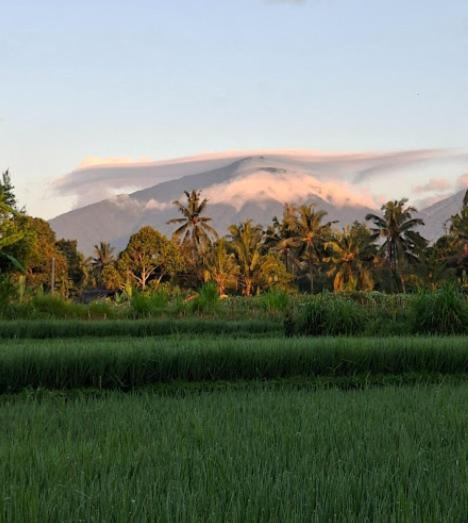 Photo of Others in Tua
